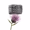 Graphene Aerogel