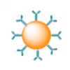Conjugated Gold Nanoparticles
