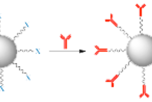 Silver Nanoparticles Conjugation Kits